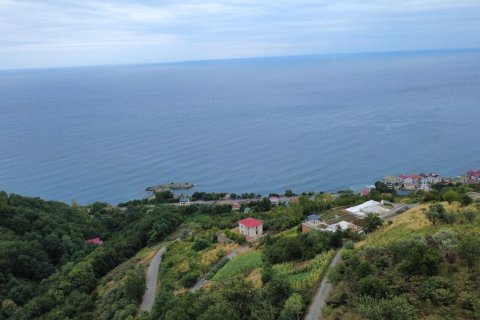 Tomt i Akcaabat, Trabzon, Tyrkia Nr. 232191 - 11
