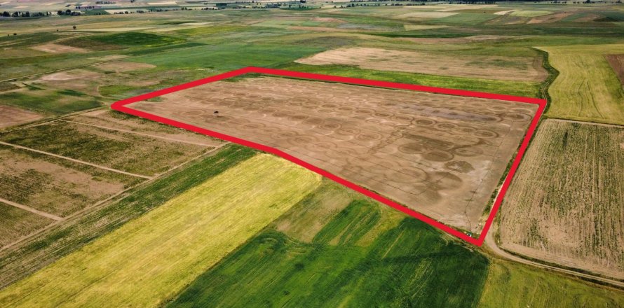 Tömma i Bayburt, Turkiet Nr. 228573