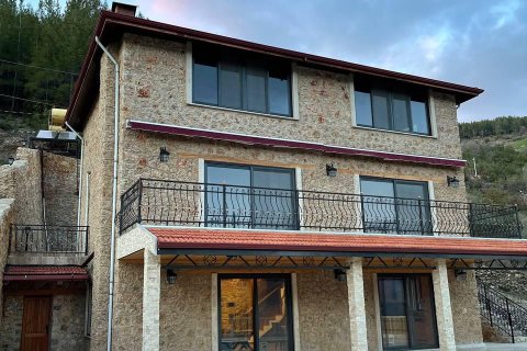 5+2 Villa  i Alanya, Antalya, Turkiet Nr. 219953 - 16