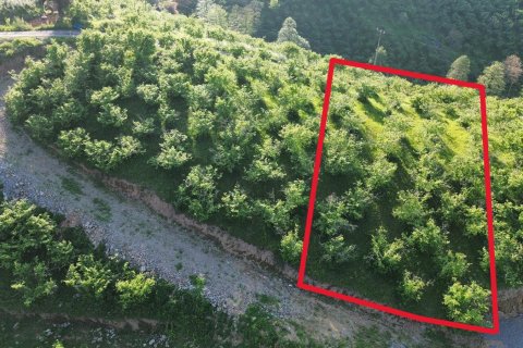 Продажа земельного участка  в Трабзоне, Турция, №228501 – фото 13