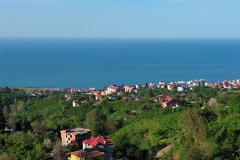 Продажа земельного участка  в Трабзоне, Турция, №228501 – фото 12