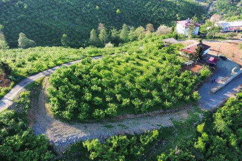 Продажа земельного участка  в Трабзоне, Турция, №228501 – фото 14