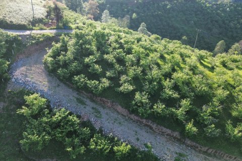 Продажа земельного участка  в Трабзоне, Турция, №228501 – фото 11