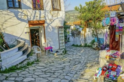 Продажа коммерческой недвижимости  в Сельчуке, Измире, Турция, 225м2, №223247 – фото 3