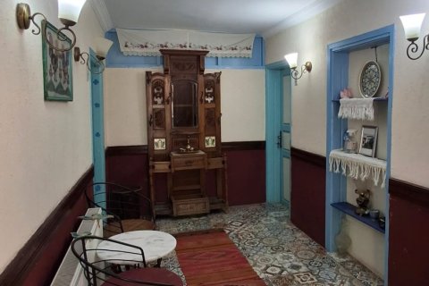 Продажа коммерческой недвижимости  в Сельчуке, Измире, Турция, 225м2, №223247 – фото 5