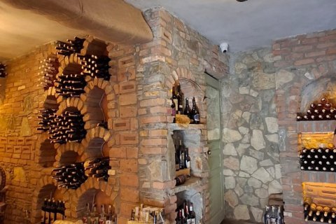 Продажа коммерческой недвижимости  в Сельчуке, Измире, Турция, 225м2, №223247 – фото 27