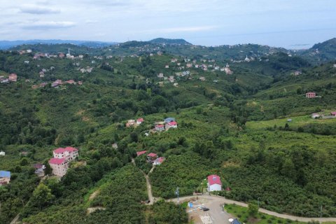Продажа земельного участка  в Арсине, Трабзоне, Турция, №237528 – фото 13