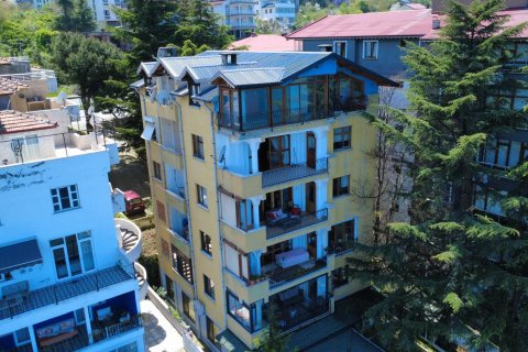 3+1 Lejlighed i Akcaabat, Trabzon, Tyrkiet Nr. 228567 - 3