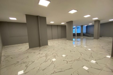 Gewerbeimmobilien in Trabzon, Türkei Nr. 228579 - 11
