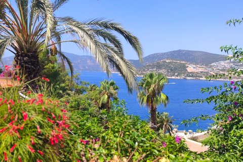 ویلا در Kalkan ، ترکیه 3 خوابه ، 220 متر مربع. شماره 215069 - 18