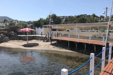 3+1 Villa  in Yalikavak, Mugla, Türkei Nr. 221804 - 25