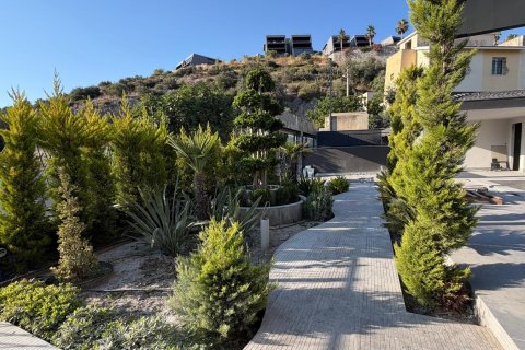 in Kusadasi, Aydin, Türkei Nr. 228648 - 15