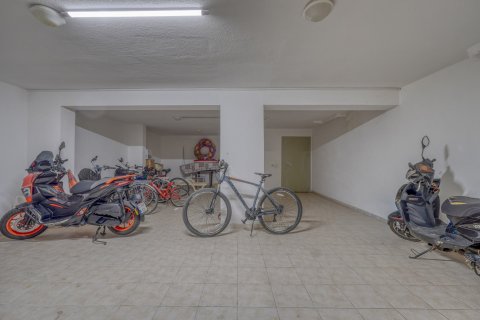 Daire Oba, Antalya, Türkiye №221482 - 25