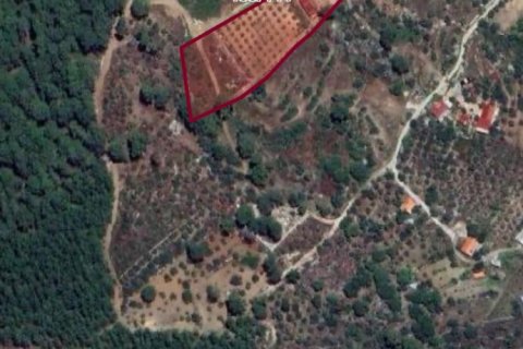 Tom i Fethiye, Mugla, Tyrkiet Nr. 225520 - 3