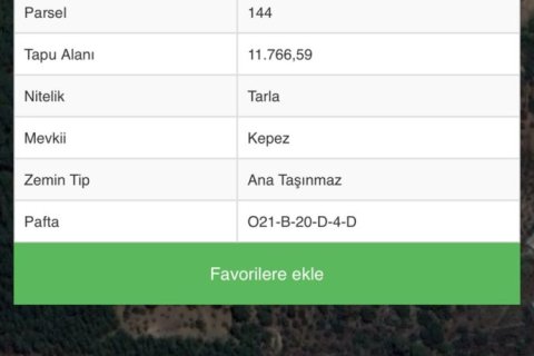 d701dd1af24386df594df8a684bc2f09.jpg