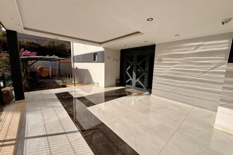 1+1 Wohnung in Alanya, Antalya, Türkei Nr. 215027 - 5