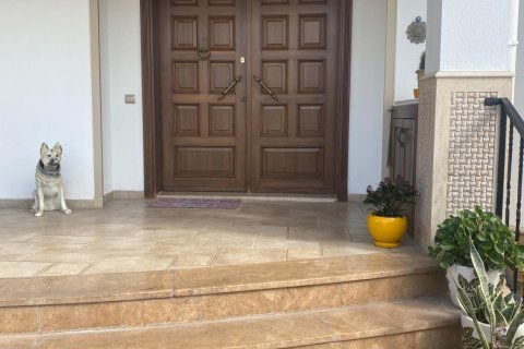 ویلا در  Fethiye ، ترکیه 2 خوابه ، 485 متر مربع.  شماره 223191 - 4