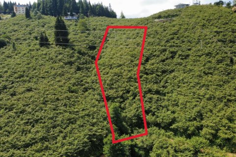 Tomt  i Arsin, Trabzon, Tyrkia Nr. 232192 - 6