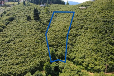 Tomt  i Arsin, Trabzon, Tyrkia Nr. 232192 - 8
