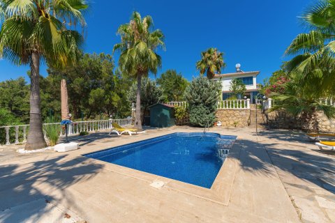 i Alanya, Antalya, Tyrkiet Nr. 227726 - 3