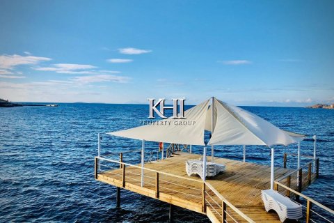 3+1 Villa in Yalikavak, Mugla, Türkei Nr. 215793 - 23