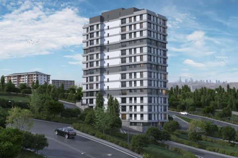 1+1 Wohnung  in Kâğıthane, Istanbul, Türkei Nr. 212615 - 2