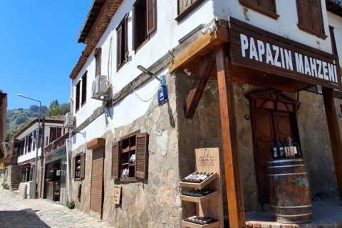 Продажа коммерческой недвижимости  в Сельчуке, Измире, Турция, 225м2, №223247 – фото 14