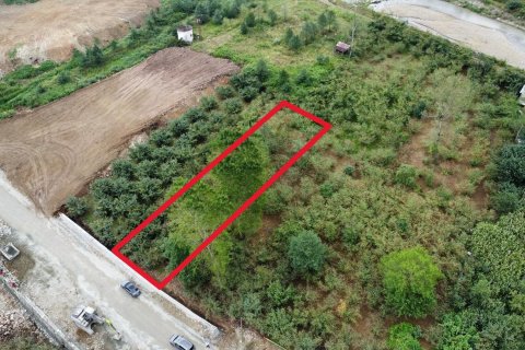 Продажа земельного участка  в Арсине, Трабзоне, Турция, №228470 – фото 10