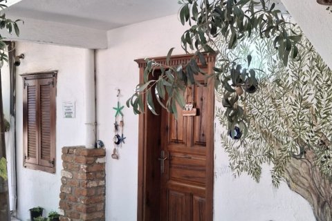 Продажа коммерческой недвижимости  в Сельчуке, Измире, Турция, 225м2, №223247 – фото 25