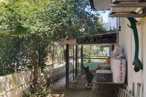 Продажа  в Кушадасы, Айдыне, Турция, 340м2, №226809 – фото 23