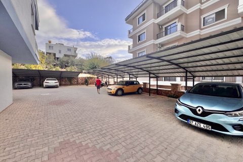 1+1 Wohnung in Alanya, Antalya, Türkei Nr. 215029 - 2