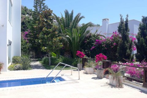 8+1 Villa in Turkbuku, Mugla, Türkei Nr. 214898 - 4