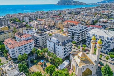 Gewerbeimmobilien  in Alanya, Antalya, Türkei Nr. 212213 - 4