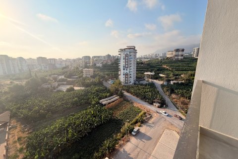1+0 Wohnung  in Alanya, Antalya, Türkei Nr. 237934 - 5
