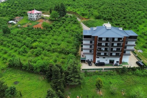 1+1 Lägenhet  i Trabzon, Turkiet Nr. 228471 - 10