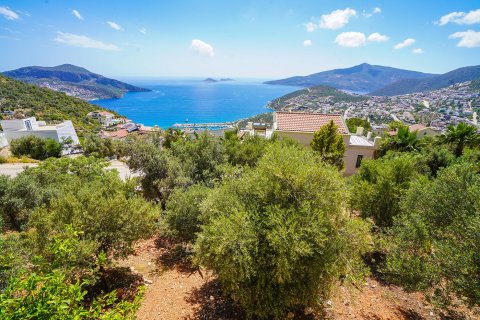 5+1 Villa i Kalkan, Antalya, Turkiet Nr. 228973 - 2