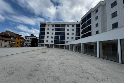 1+1 Lejlighed i Trabzon, Tyrkiet Nr. 228563 - 16