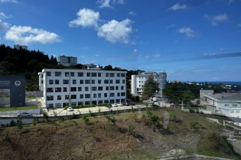 1+1 Lejlighed i Trabzon, Tyrkiet Nr. 228563 - 17
