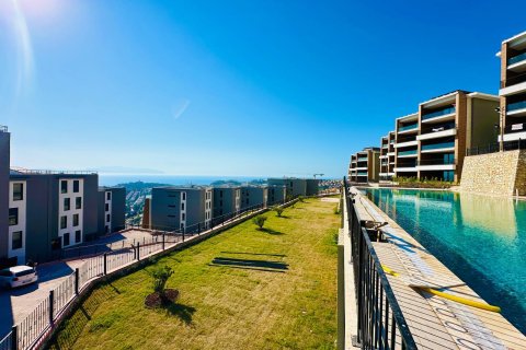 in Kusadasi, Aydin, Türkei Nr. 228659 - 2