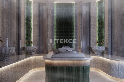 2+1 Lägenhet i istanbul, Turkiet Nr. 228701 - 26