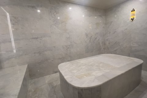 1+1 Lägenhet i Oba, Antalya, Turkiet Nr. 228888 - 25