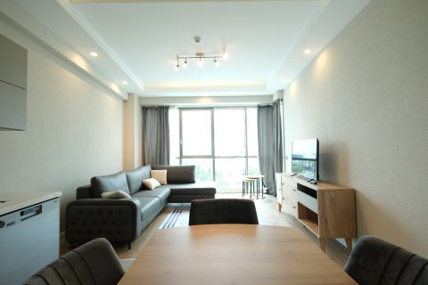 1+1 Leilighet  i Antalya, Tyrkia Nr. 224349 - 3