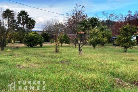3+1 Villa  i Dalyan, Mugla, Tyrkia Nr. 233608 - 18