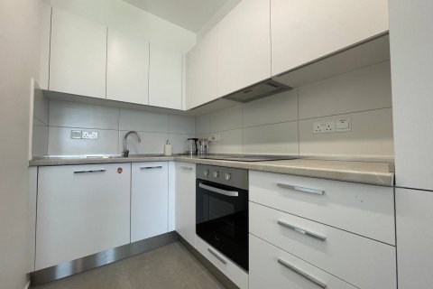 2+1 Wohnung  in Esentepe, Girne,  Nr. 214556 - 29