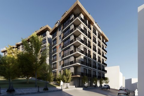 3+1 Lägenhet  i Besiktas, Istanbul, istanbul, Turkiet Nr. 219913 - 13