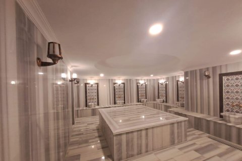 1+1 Wohnung in Avsallar, Antalya, Türkei Nr. 229190 - 20