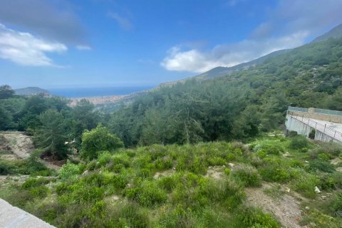 Tom  i Alanya, Antalya, Tyrkiet Nr. 230456