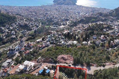 Land  in Alanya, Antalya, Türkei Nr. 229400