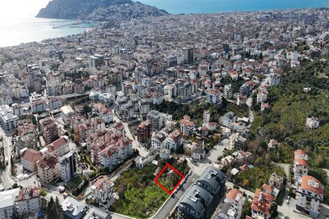 Land  in Alanya, Antalya, Türkei Nr. 229399