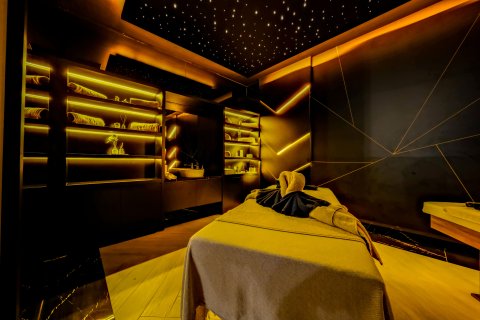 2+1 Leilighet i Alanya, Antalya, Tyrkia Nr. 223115 - 22